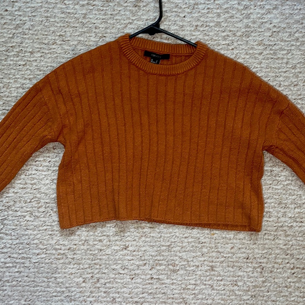 Small Cropped Forever 21 Sweater